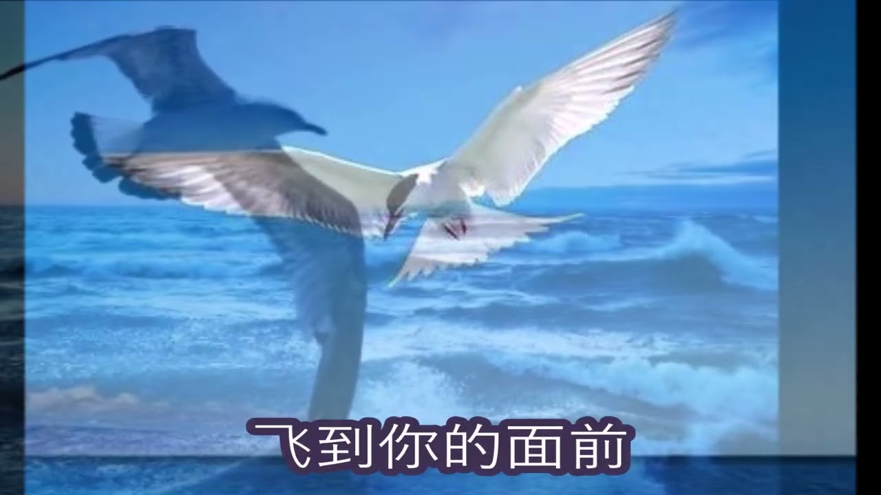 《梦幻曲》- 姚莉演唱