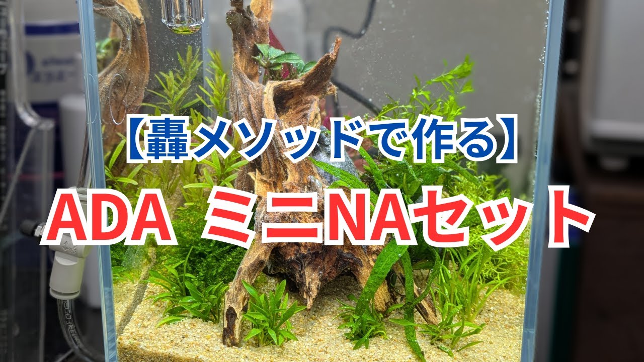 ADAミニNAセットを轟メソッドで立ち上げてみた