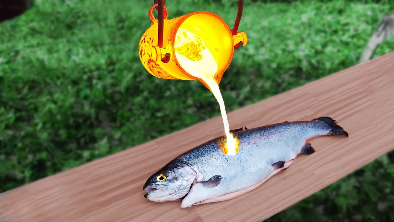EXPERIMENT: FISH vs LAVA