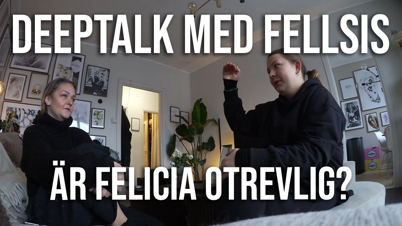 SAKER VI ALDRIG PRATAT OM | @FELLSIS