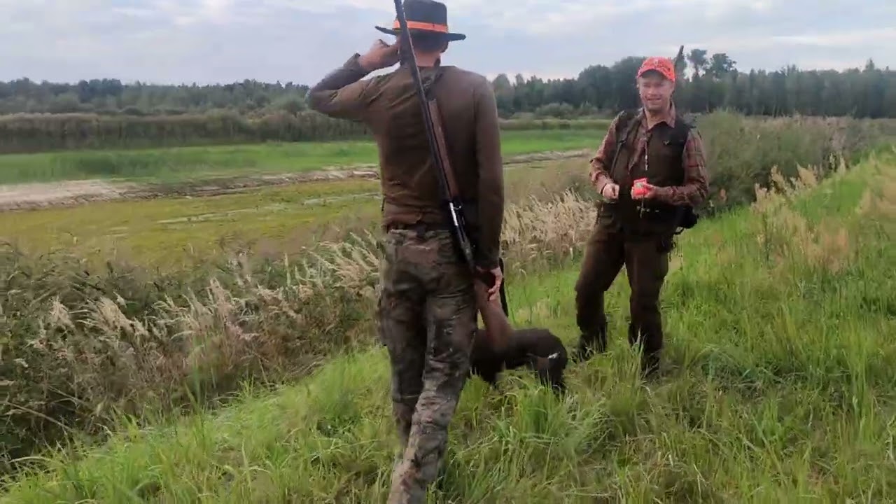 Polowanie na kaczki - I polowanie Klubu Polskich Spanieli Myśliwskich PZŁ- 03.09.2022 OHZ Bysiow