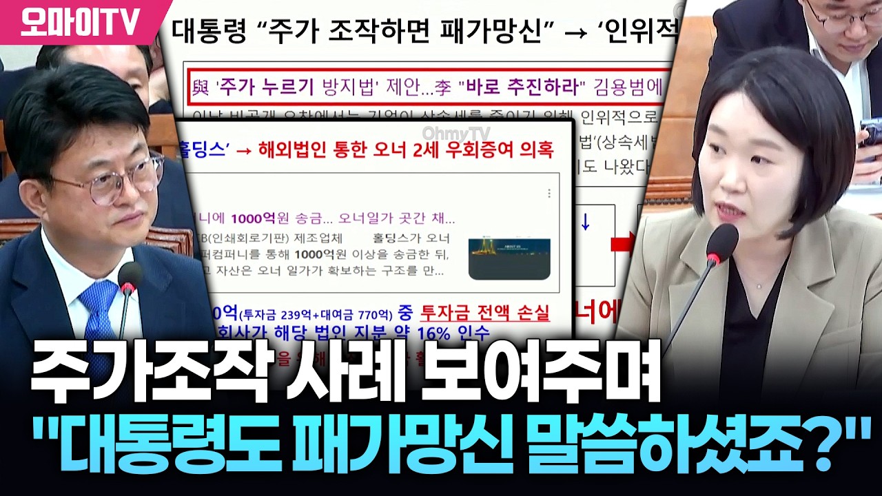 이소영, 국세청장에 주가조작 사례 보여주며 