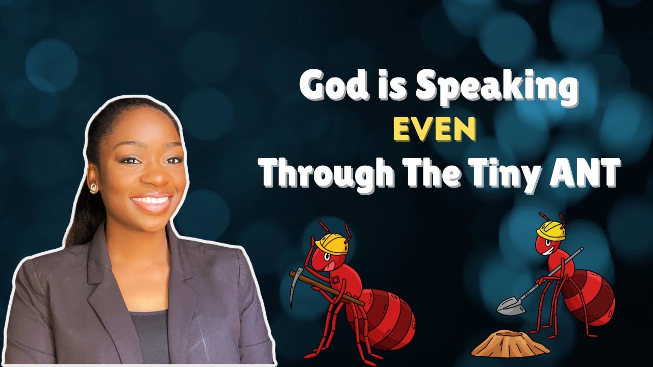 Don’t Ignore the Ant! What God Wants You to Learn from the Smallest Creature