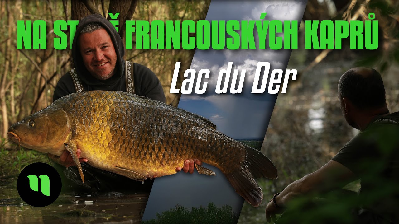 Trofejní kapři z Francie | Divoká příroda | Kapr 23+ 🔥 | Taktika lovu | Lac du Der | Karel Nikl 💚