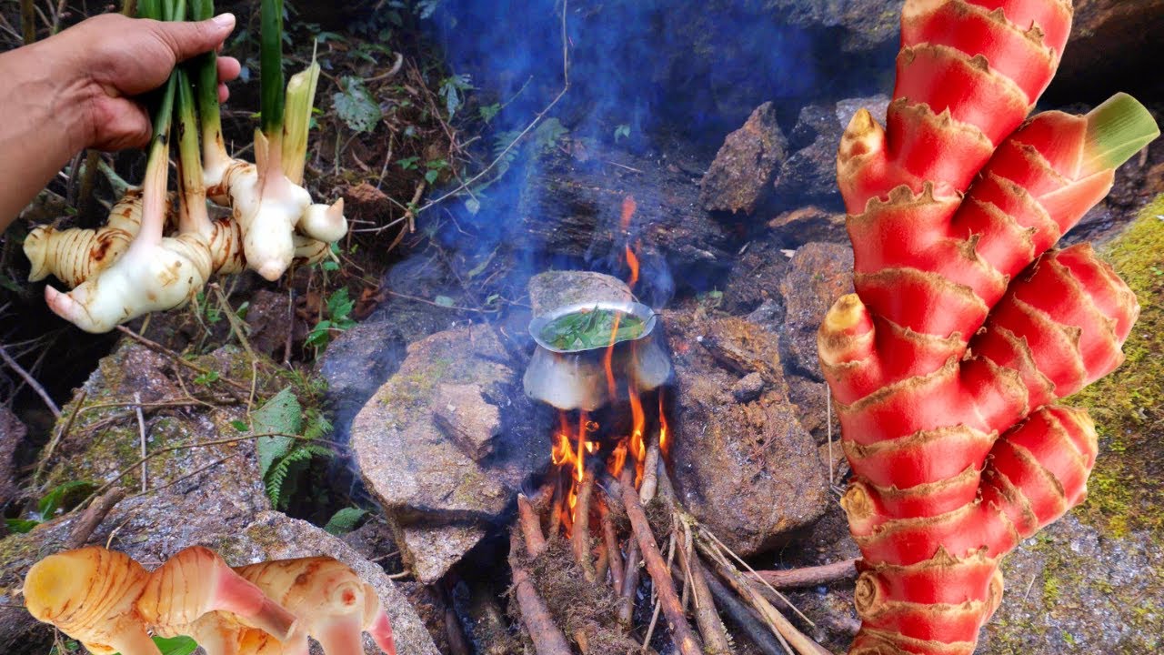 Weird Massive Food  Cooking in the Wild Forest| Food, Fire & Handmade Tools @Livewildcook