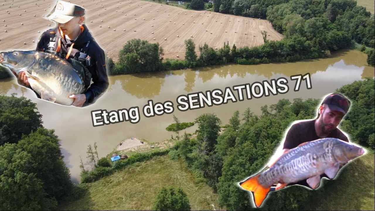 Session étang des SENSATIONS (( Avec Jordan Carpe élite et Rémi ))