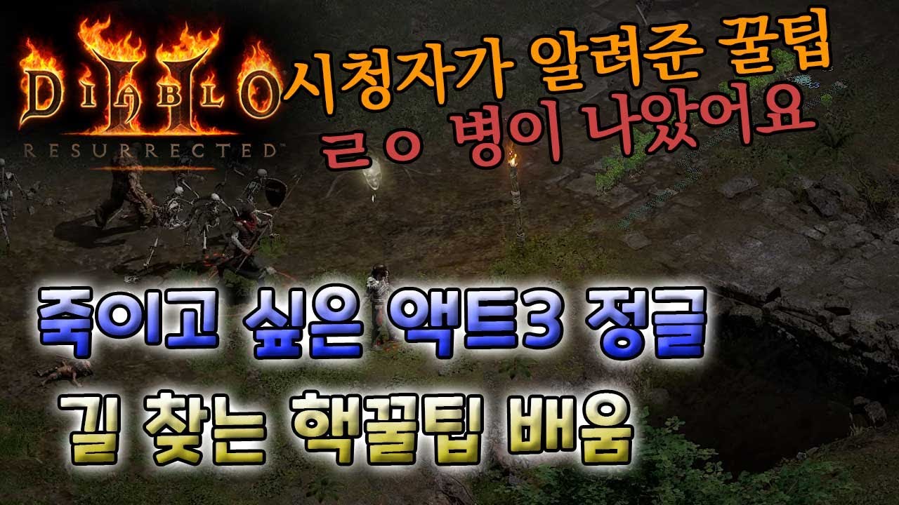 [디아블로2 레저렉션] 죽이고 싶은 액트3 정글!! 길찾기 꿀팁
