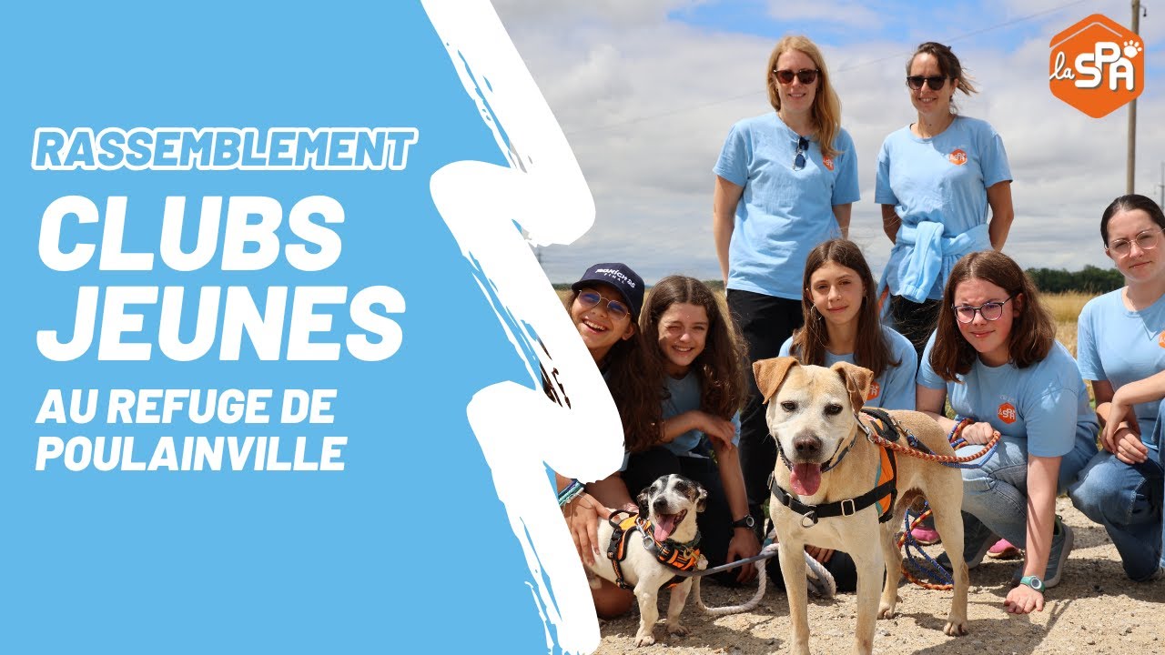 Rassemblement des Clubs Jeunes de la SPA à Poulainville 🐾🛠️🌱​