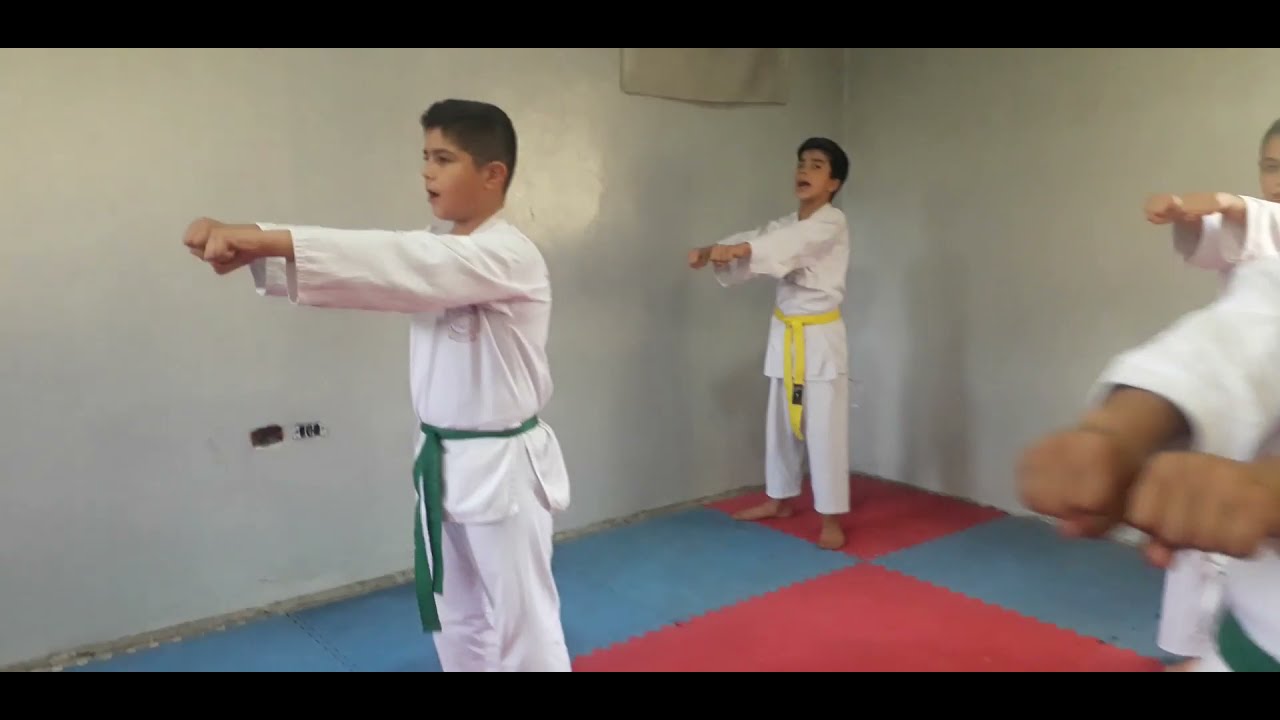 نمور الكاراتيه في نادي النضال 🐯🥋