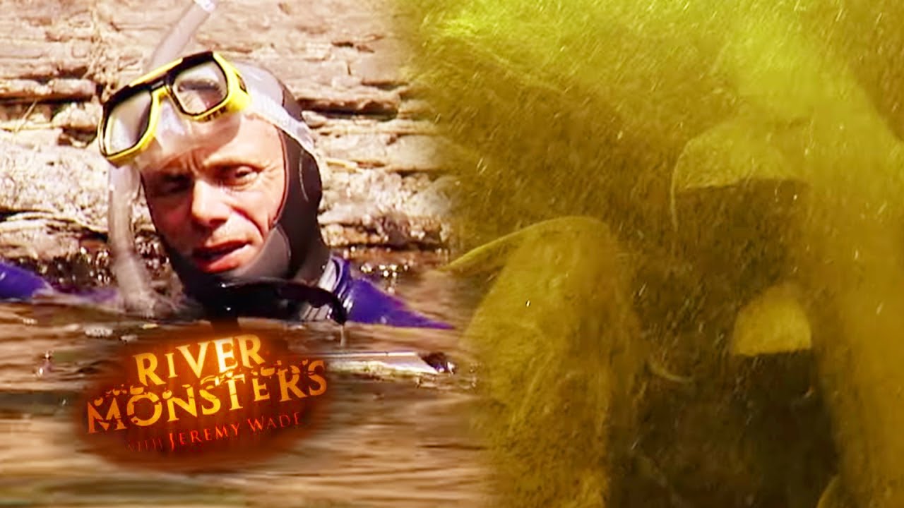 Goonch Catfish In Their Natural Habitat | CATFISH | River Monsters