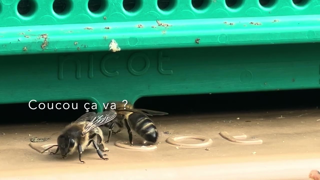 S02E01 - contrôle de la planche d’envol en hiver 