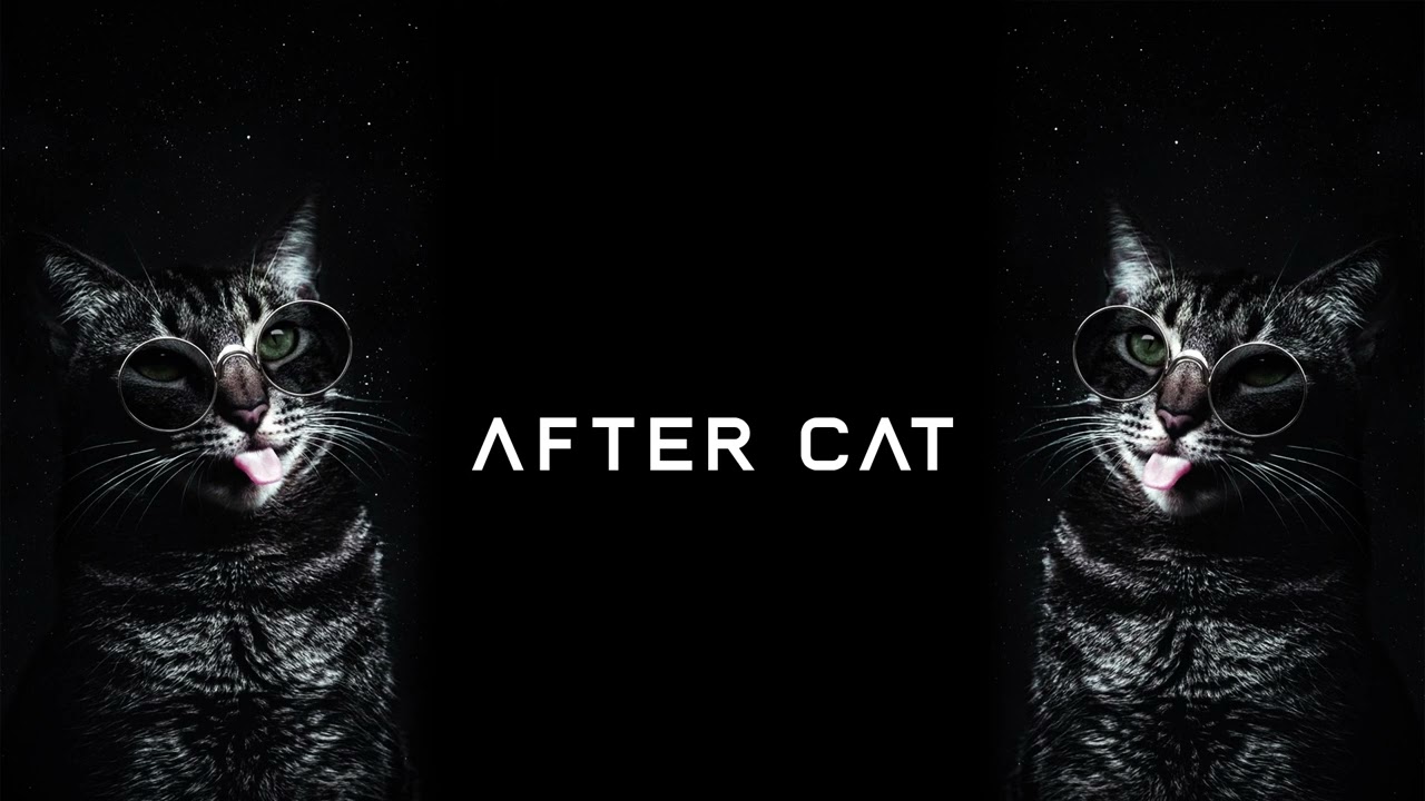 Rave After Party Trippy Cat Music 2022 Summer