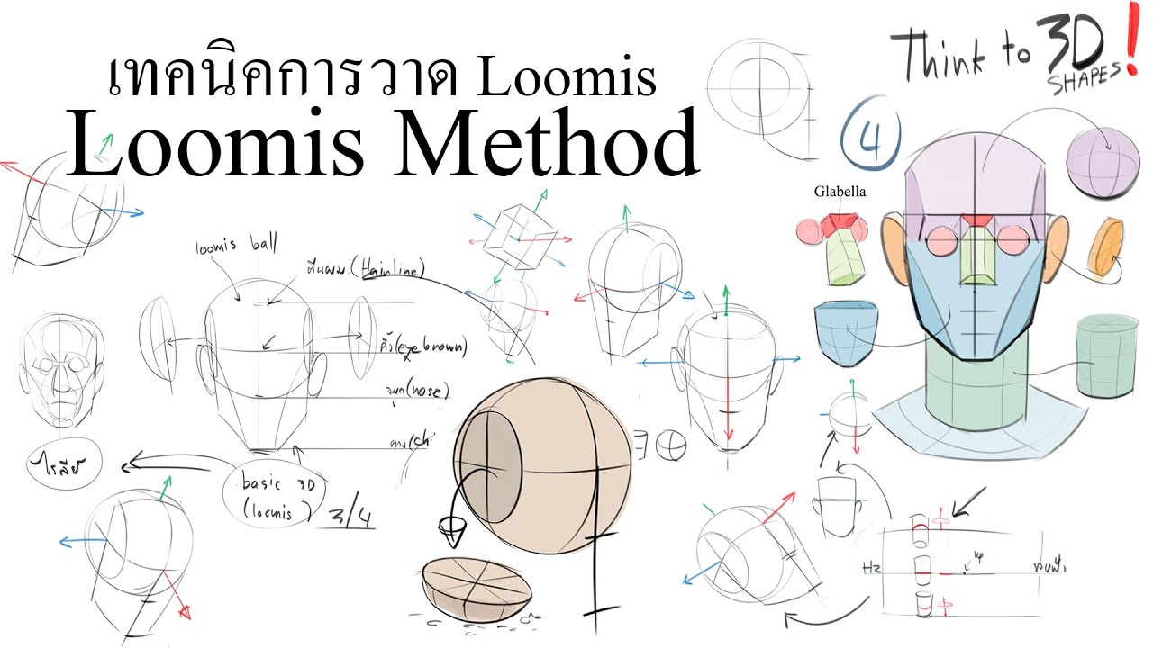 วาดโครงสร้างของหัวด้วยเทคนิค Loomis Method