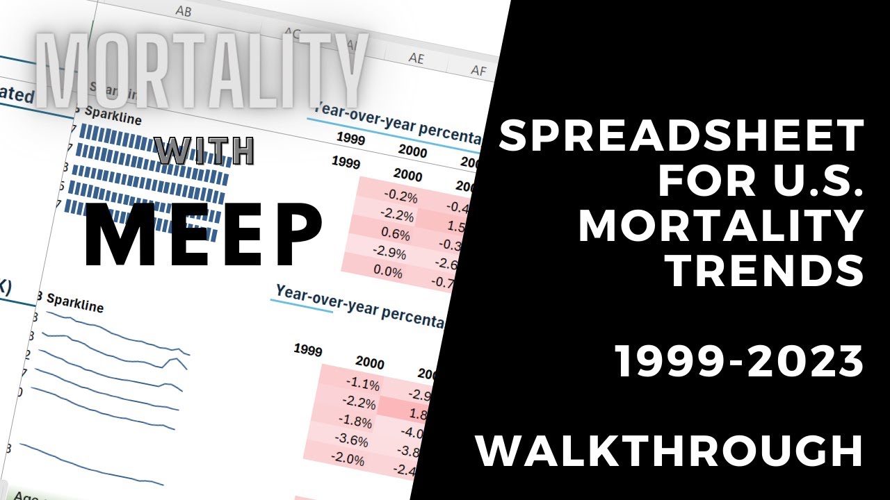 U.S. Mortality Trend Spreadsheet 1999-2023 walkthrough