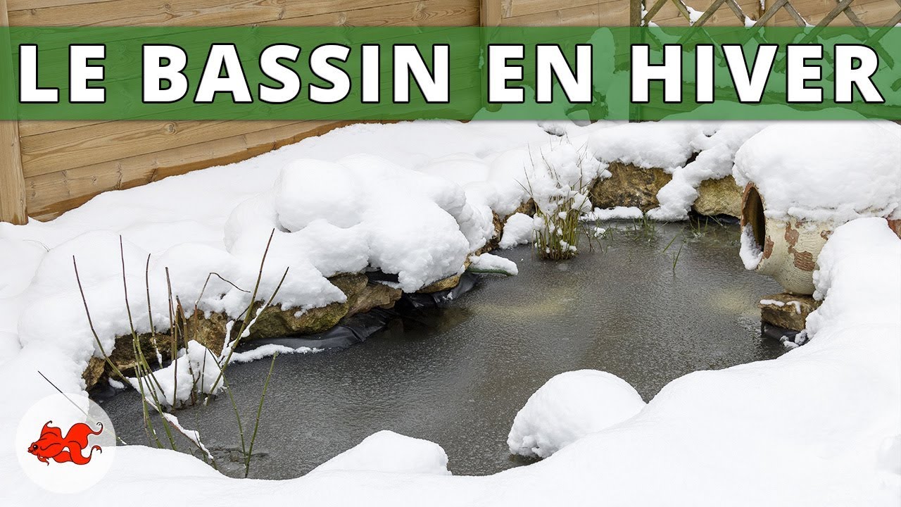Bassin de jardin - Hiver gel neige