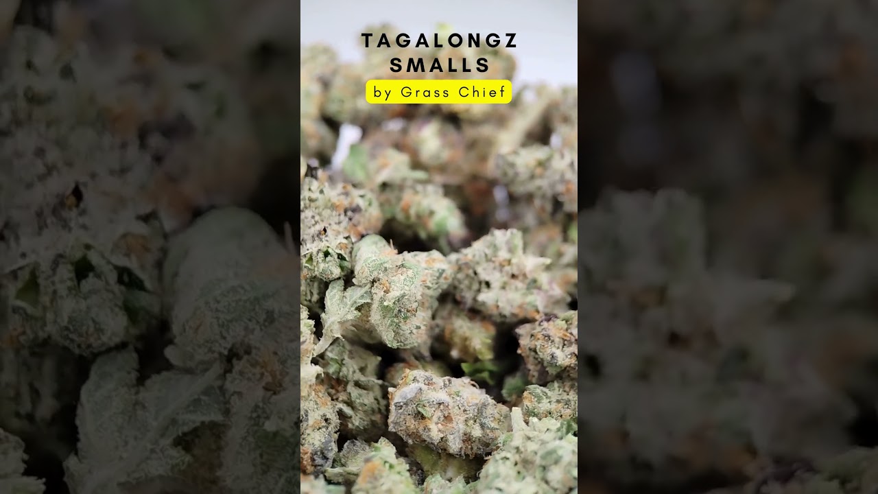 Tagalongz by Grass Chief