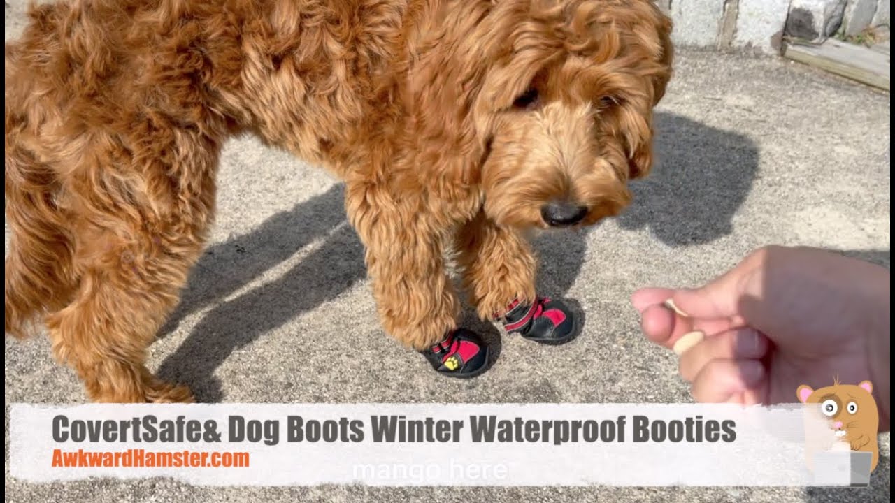 CovertSafe& Dog Boots Winter Waterproof Booties Review