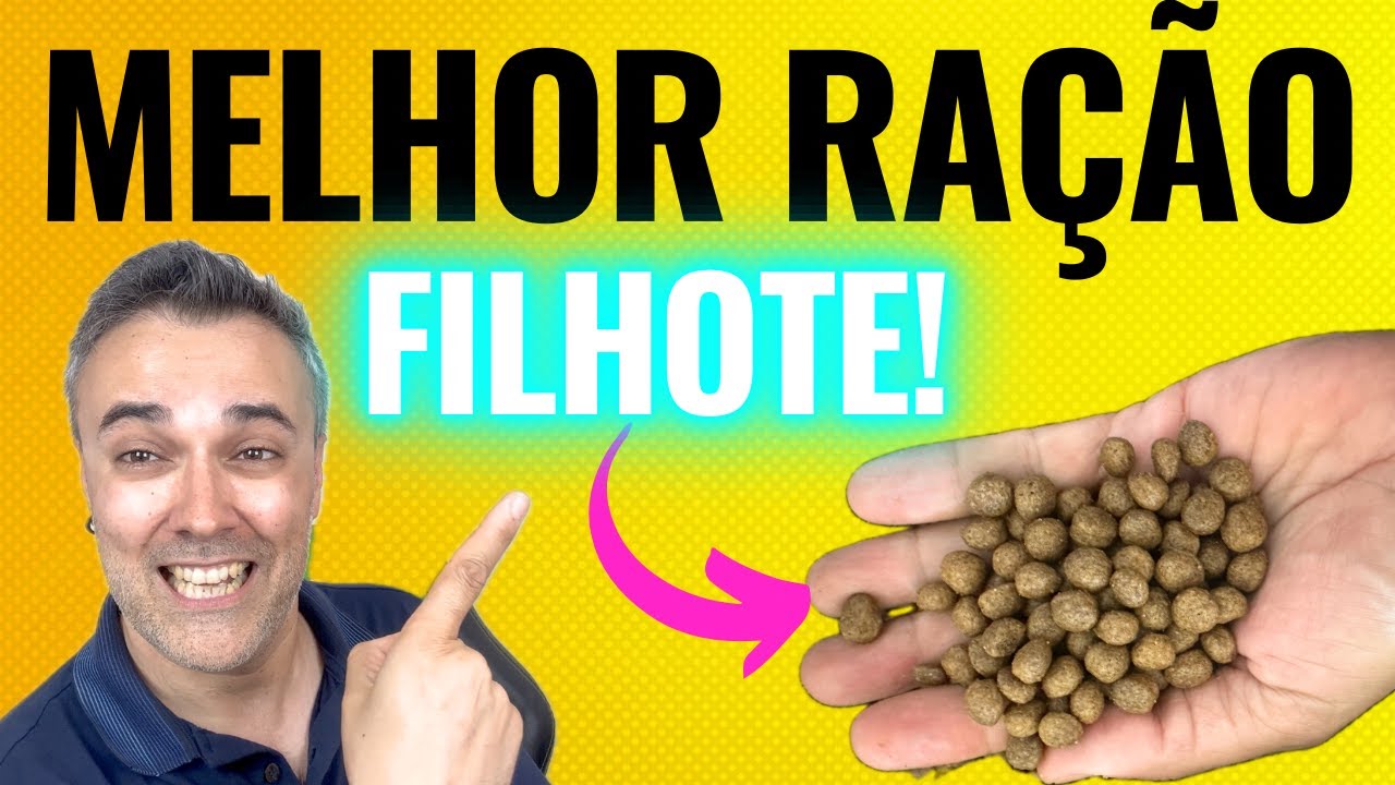 Melhor RAÇÃO DE FILHOTE 2025 ✅BARATA ✅CARNE DE VERDADE ✅INCRÍVEL!