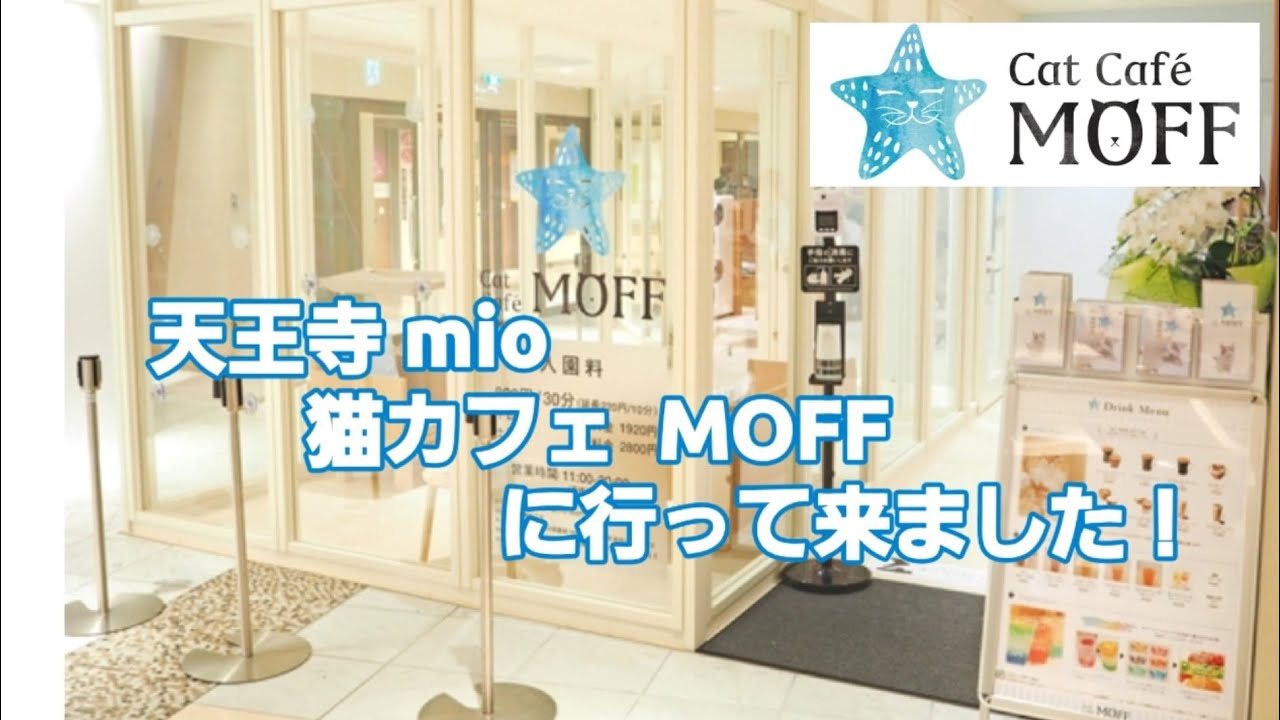 天王寺MIOの猫カフェ MOFF に行ってきました！