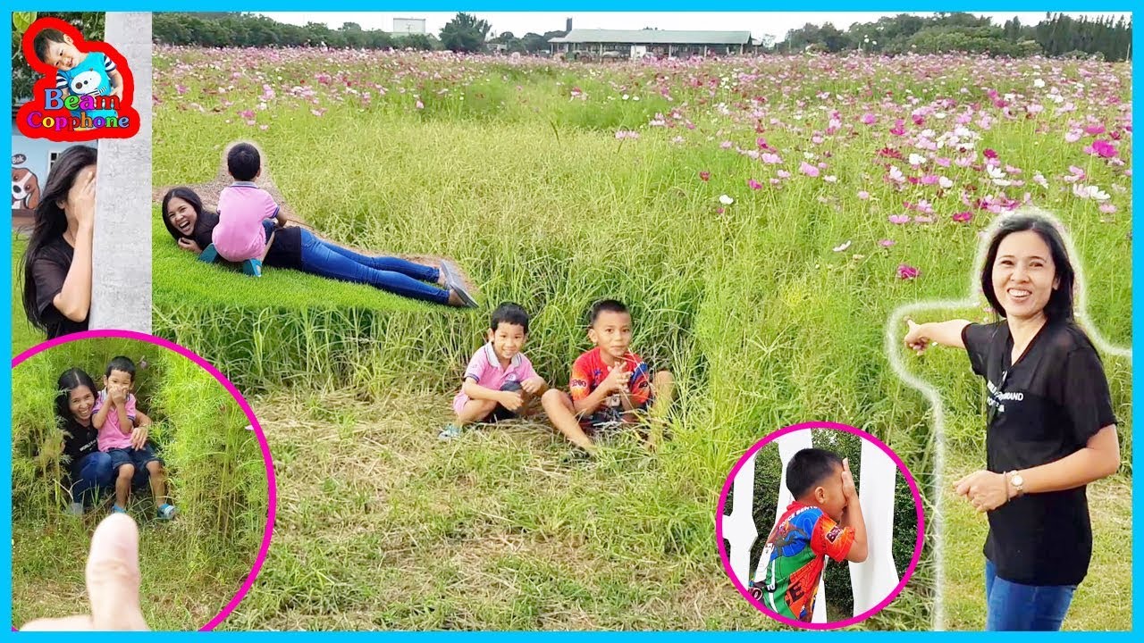 น้องบีม | เล่นซ่อนหาในทุ่งดอกไม้สวย เที่ยวนครราชสีมา ฟาร์มโชคชัย