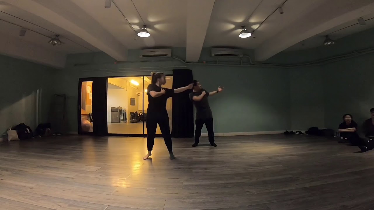 Skylar Grey - Everything I Need - Film Version | Choreography by Wilfred Siu