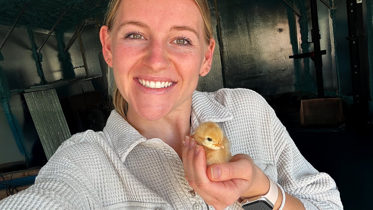 I couldn't resist... 🐥