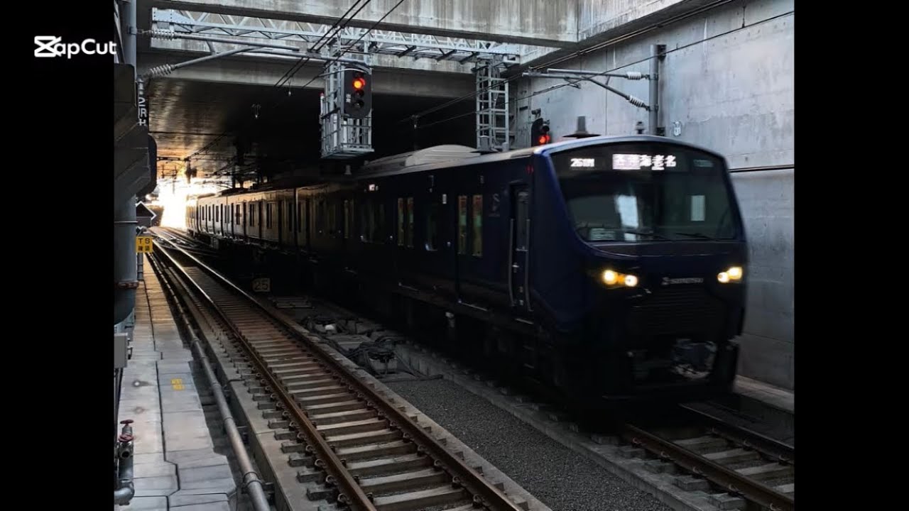 青リンゴが相鉄線鶴ヶ峰駅で撮影