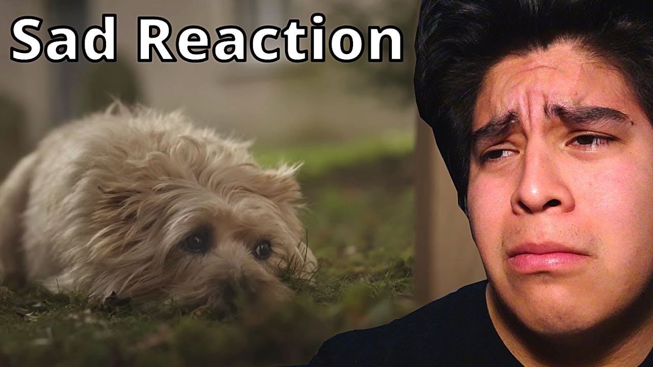Lewis Capaldi - Wish You The Best (Reaction)