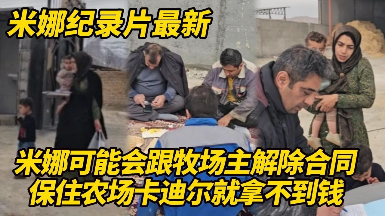 米娜可能会跟牧场主解除合同！对方迟迟没送牛过来，保住农场卡迪尔就拿不到钱财！#纪录片 #伊朗游牧民生活