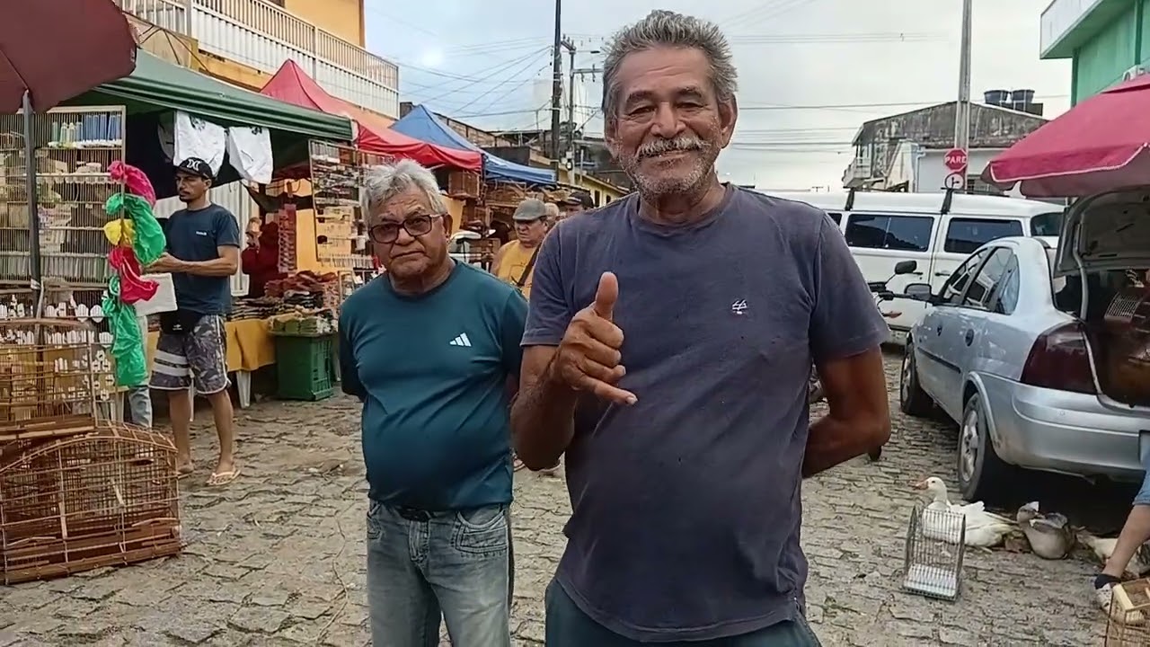 Muita galinhas na feira do rolo em Santa Rita