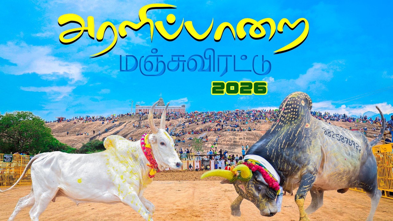 அரளிப்பாறை மஞ்சுவிரட்டு 2026 Araliparai Manjuvirattu 2026 part 01