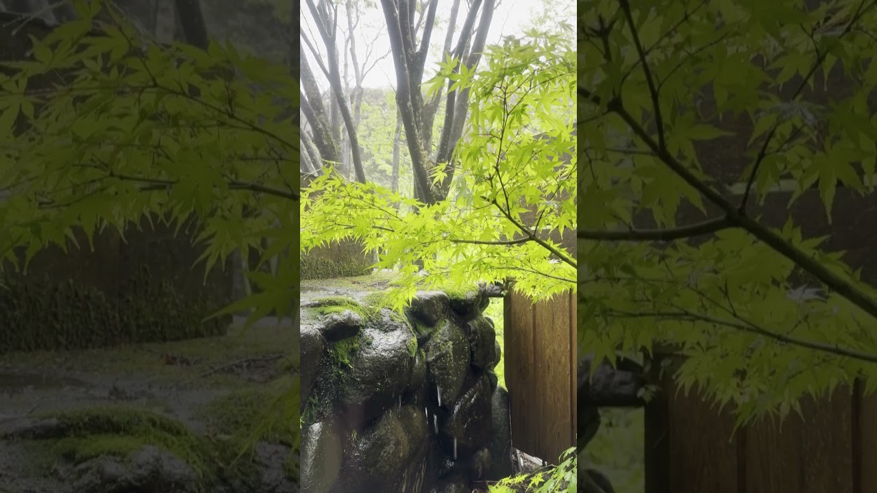 Tenzan onsen in Hakone #onsen #onsenbox #hakoneonsen
