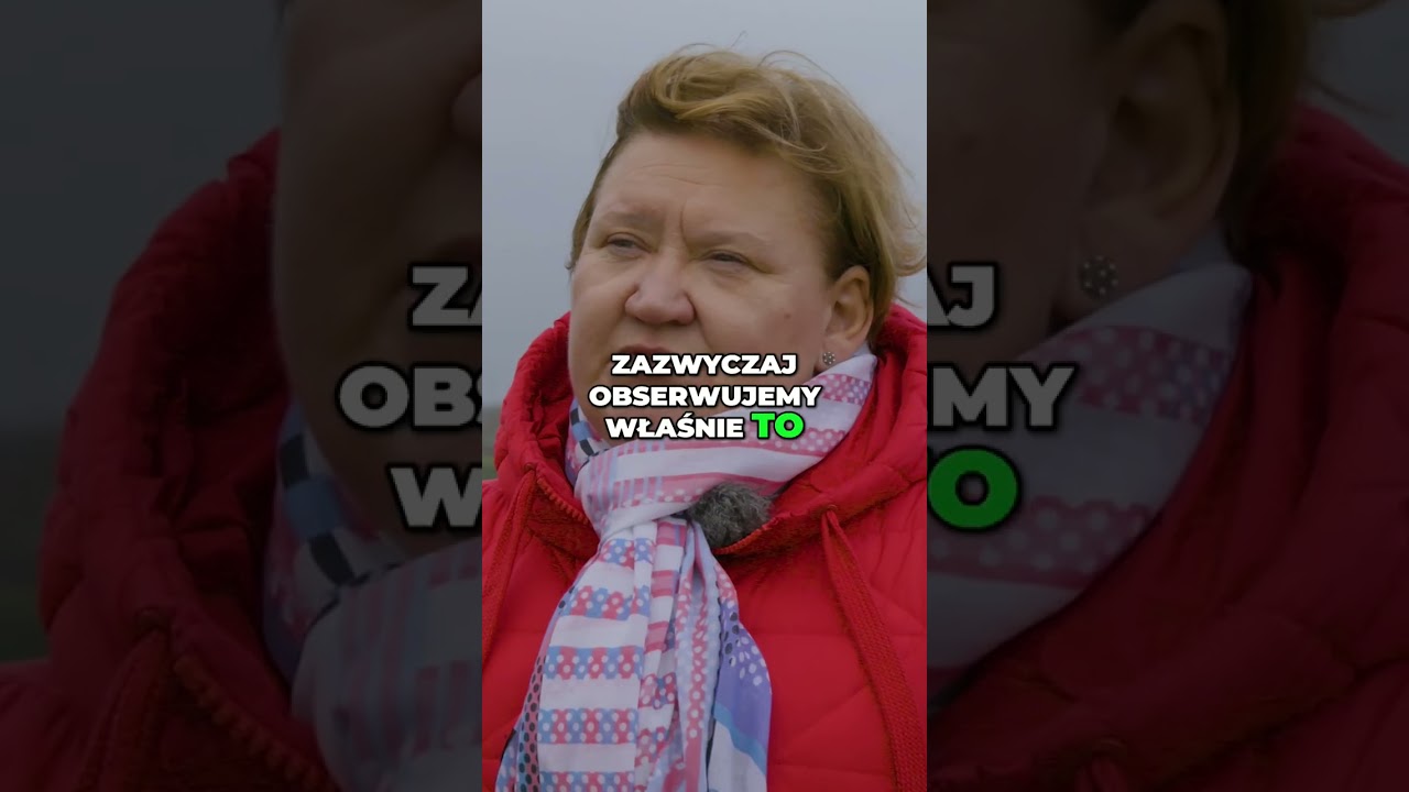 Synergizm triazoli: Wpływ na skuteczność fenpropidyny i proquinazydu