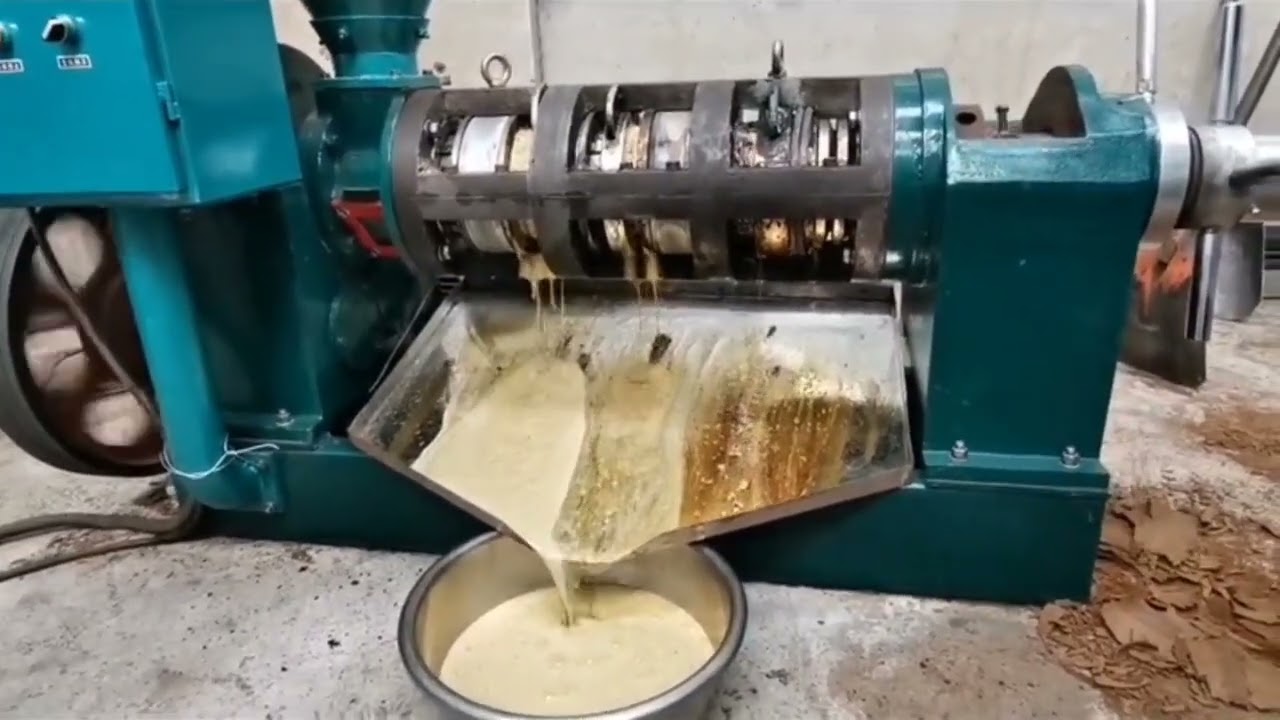 Round row oil press #Rapeseed #Peanut #Sesame #Soybean #Mustardseed #Oilpress # Machine #fyp