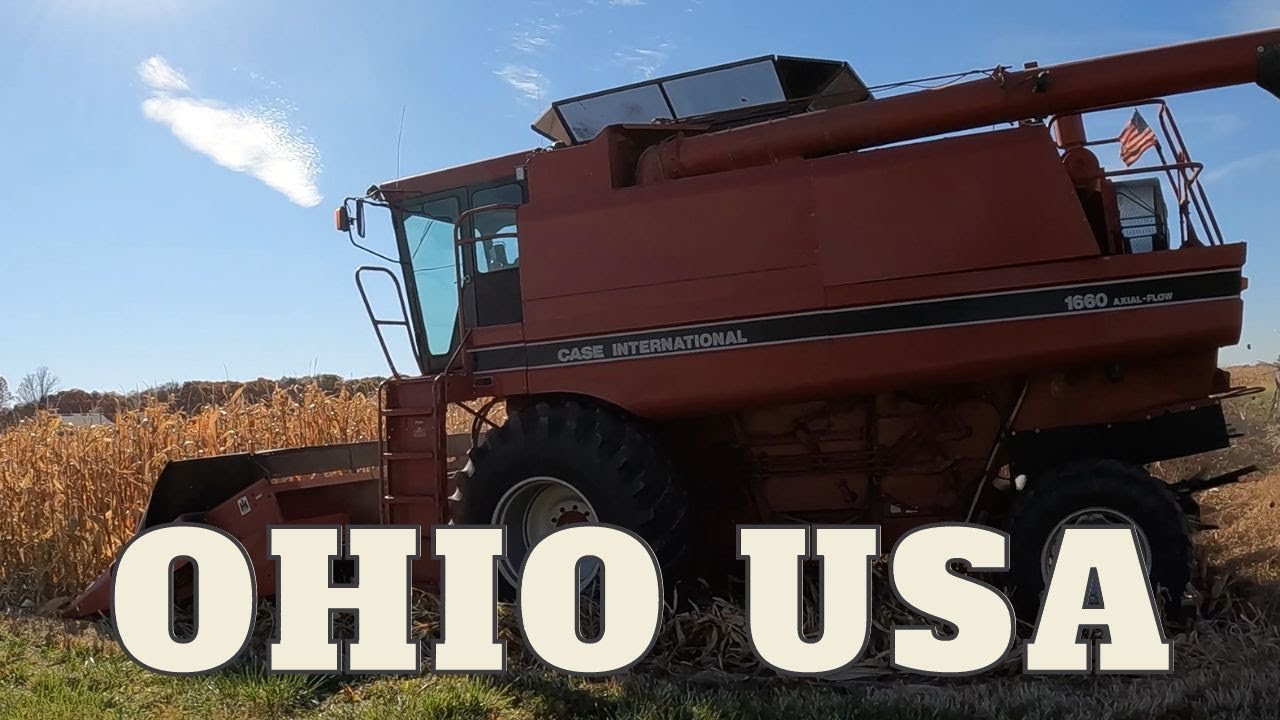 Reliable & Efficient Harvesting - Classic CASE IH 1660 - 1063 Corn Head #harvestchaser