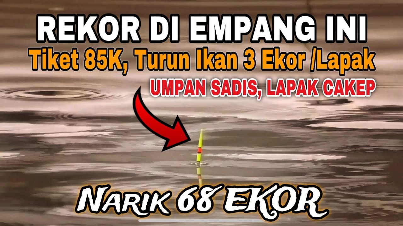 Umpan Dekoy Terlalu Sadis, Dapat Lapak Bagus Dan Ikan Dikuras Tak Tersisa
