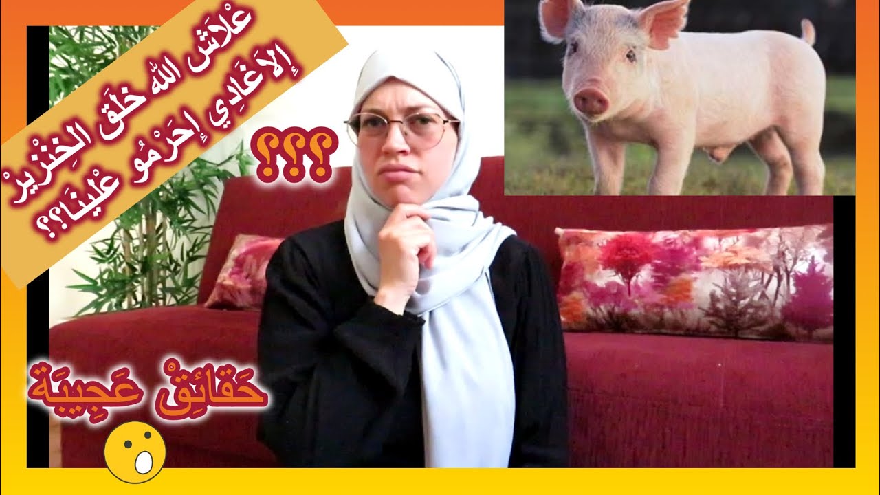 لماذا خلق الله الخنزير🐖ثم حرَّم أكله؟؟؟