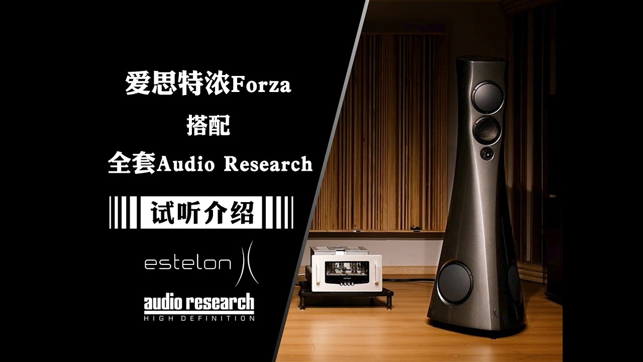 Excellent system:Estelon & Audio Research