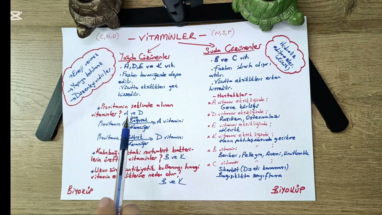 Vitaminler #yks #tyt #msu #keşfet #konuözeti 