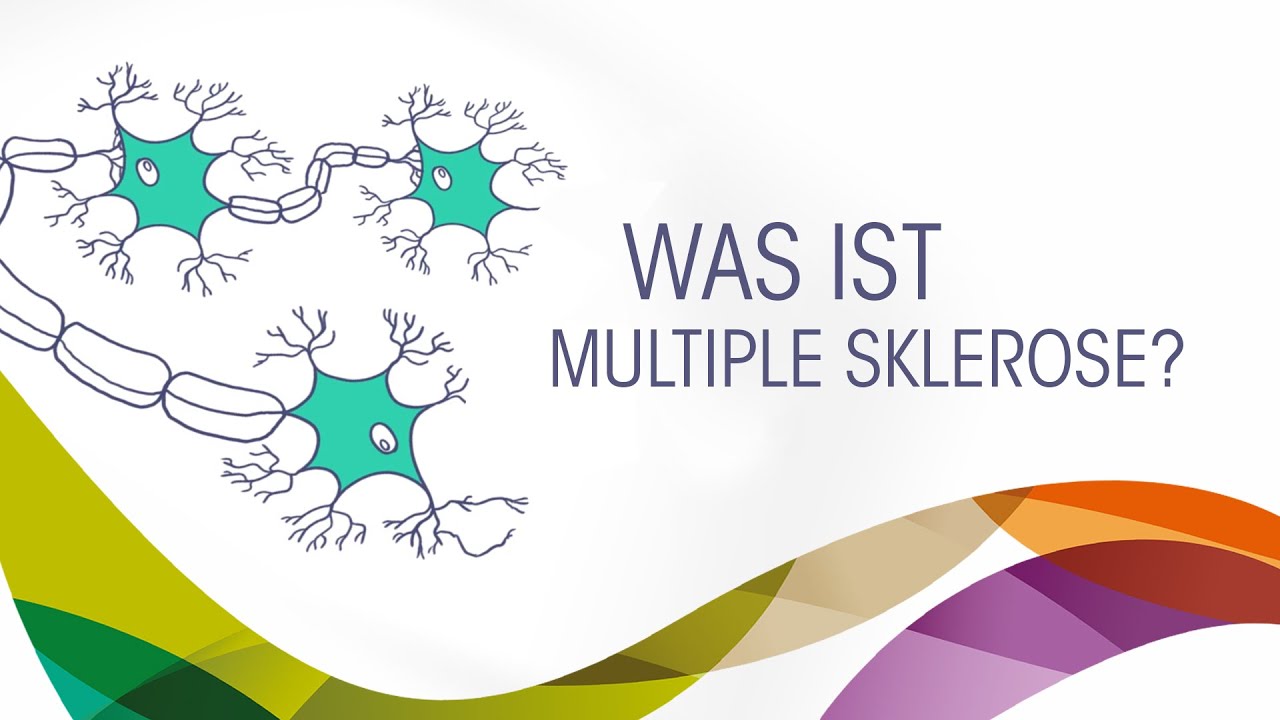 Multiple Sklerose &ndash; Was ist das? I MS-Begleiter