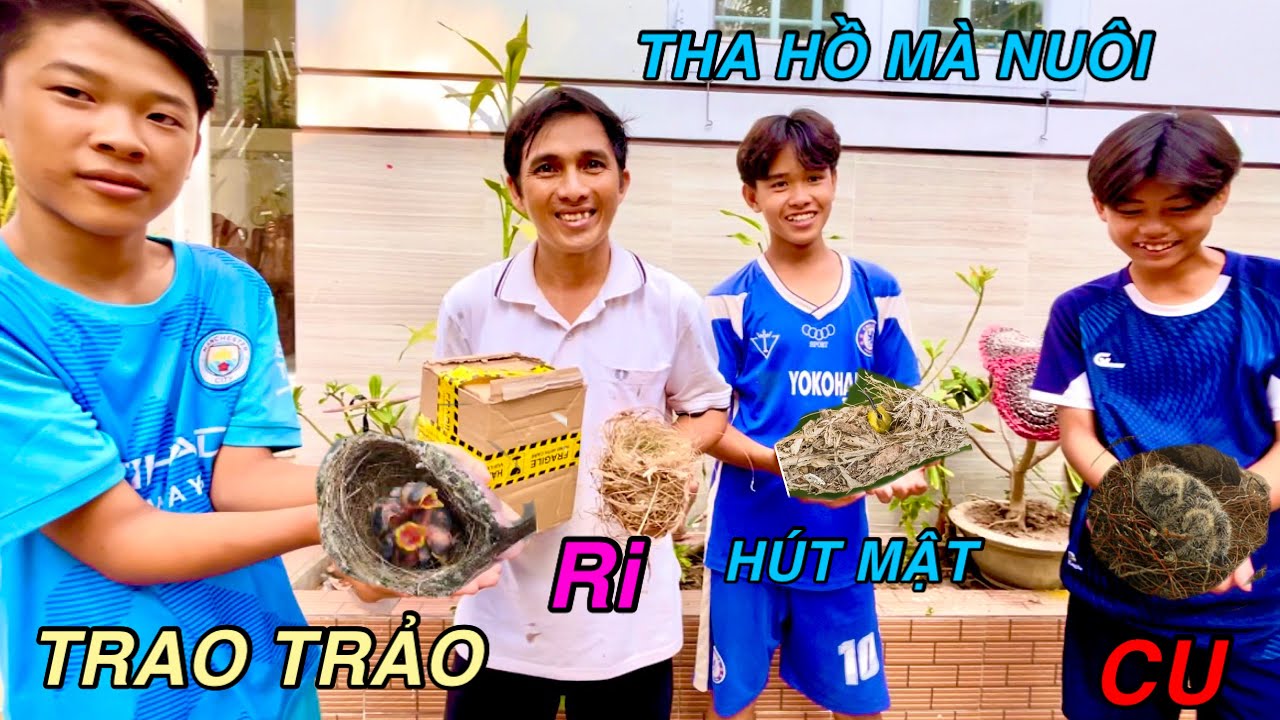 Một Ngày Đi Tìm Chim Hút Mật Bảy Màu  Về Làm Chim Cảnh |ATK