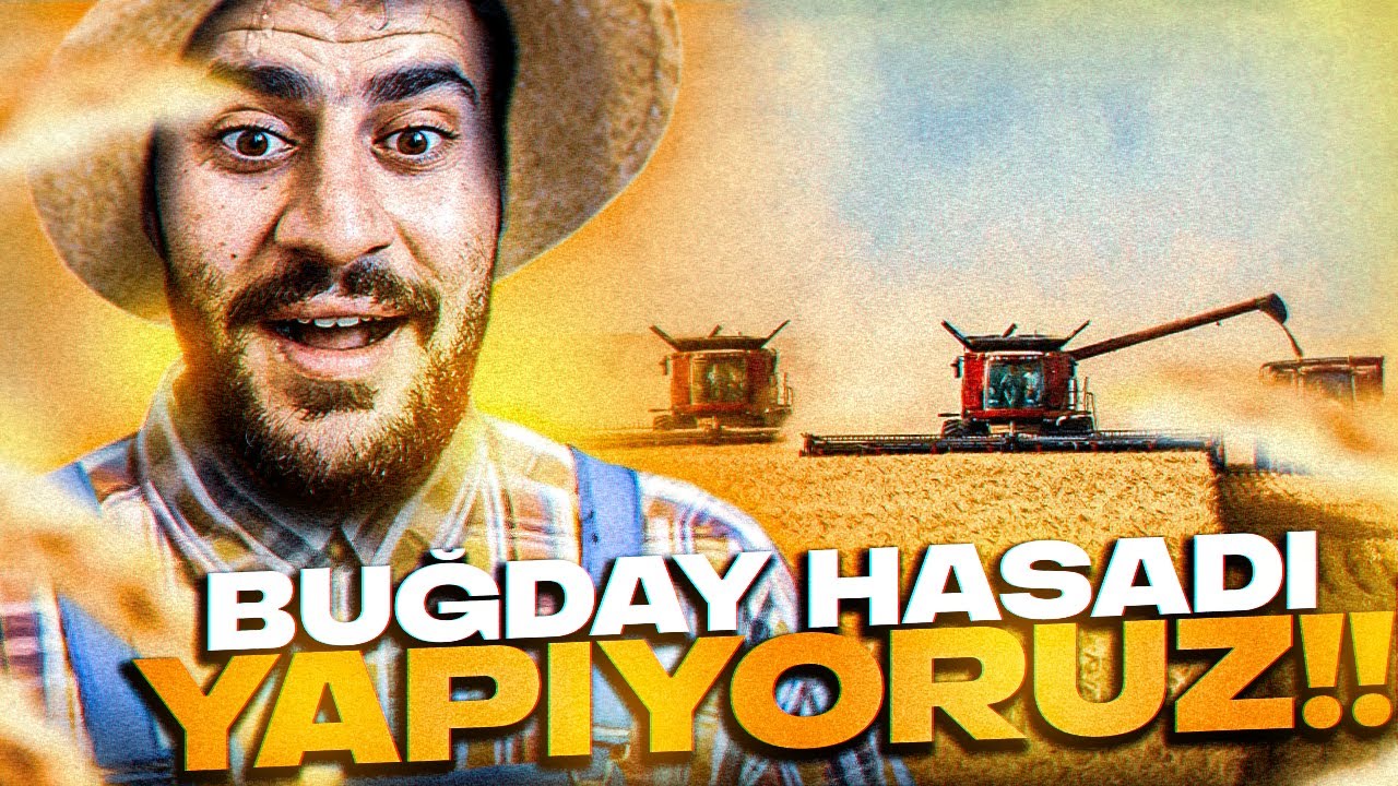 İLK BUGDAY HASADIMIZI YAPTIK | BU SEFER KANOLA EKTİK | FARMİNG SİMULATOR 19 BÖLÜM2 | vadinin sahibi