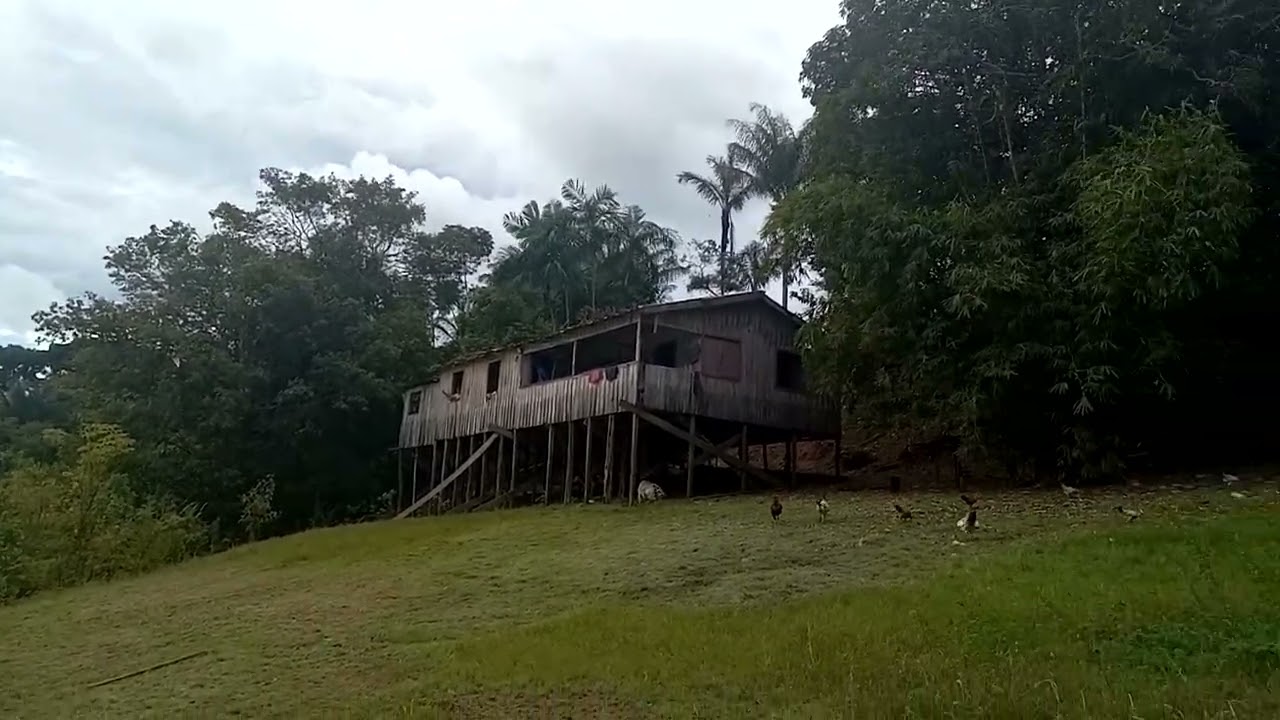 8 de fevereiro de 2026