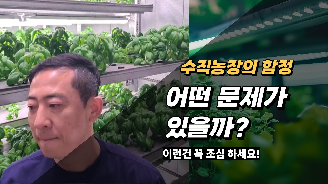 평당 1200만 원 수직농장, 아직도 전기세도 못 뽑은 현실