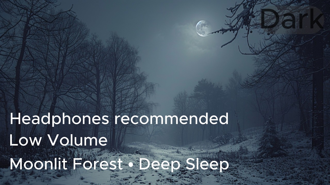 Moonlit Winter Forest • Deep Sleep Ambient | Dark Ambient for Insomnia & Anxiety Relief | Low Volume