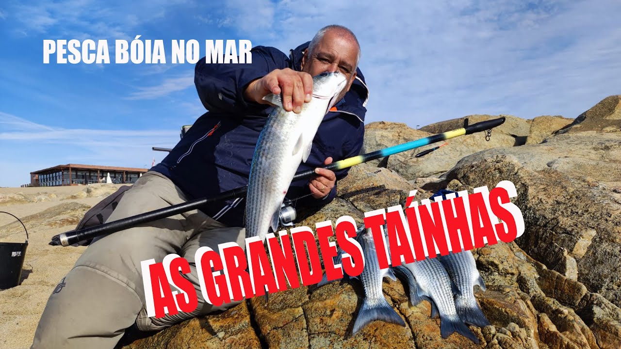 PESCA BOIA MAR   AS GRANDES TAÍNHAS