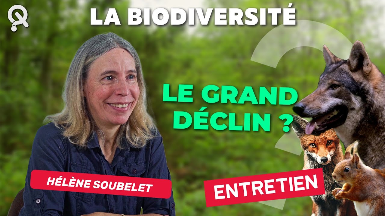 DÉCLIN DE LA BIODIVERSITÉ : QUE SE PASSERAIT-IL ?  (QSPT #11) Hélène Soubelet (partie 1)