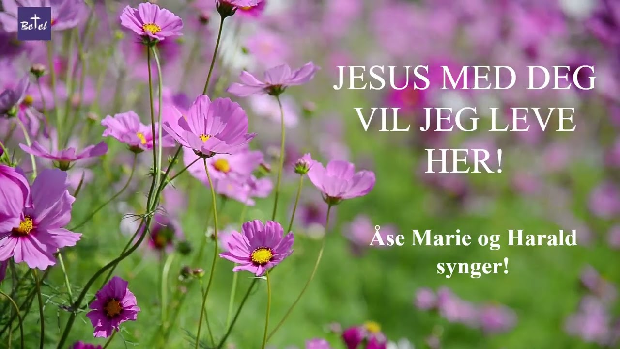 Jesus med deg vil jeg leve her. #live #christianmusic