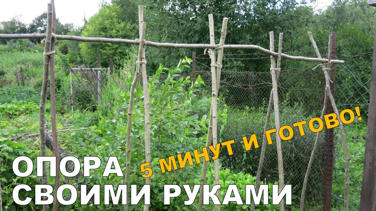 ШПАЛЕРА СВОИМИ РУКАМИ ЗА 5 МИНУТ для фасоли, огурцов