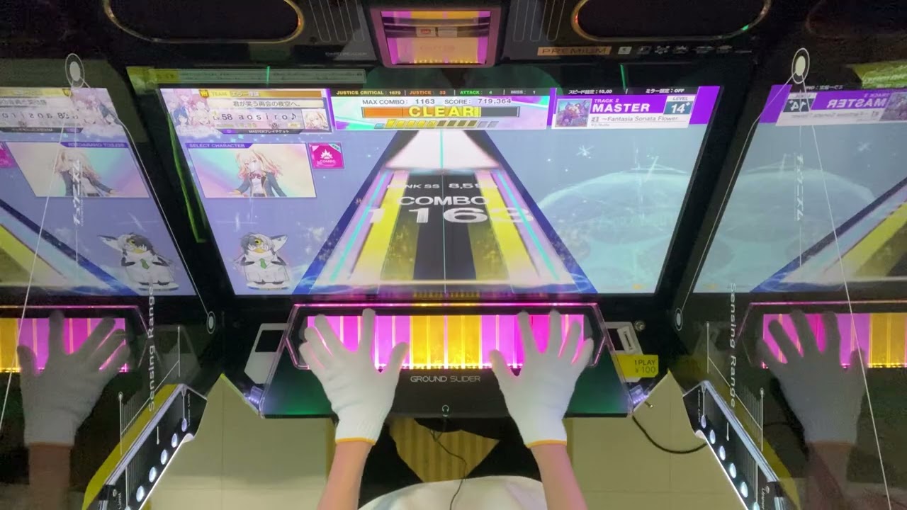 〚盲従〛 ～Fantasia Sonata Flower master SSS #チュウニズム #chunithm 